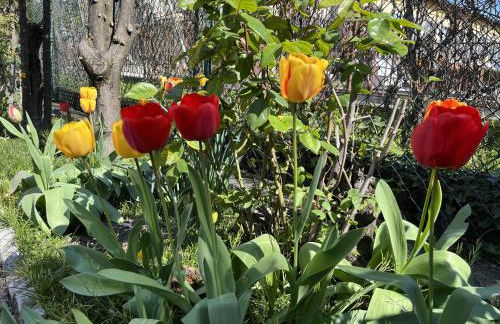 Cà del Fili - Foto 29