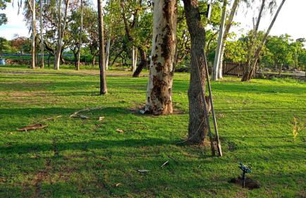 Fazenda Serra Azul - Foto 2