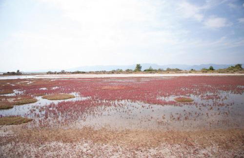 Infinity Villa - Foto 26