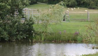 Waldhof-Iphofen - Foto 4, Garden, Other