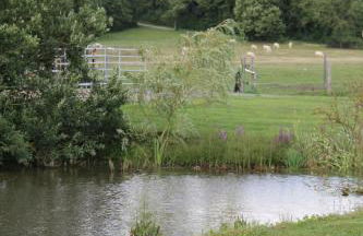 Waldhof-Iphofen - Foto 4