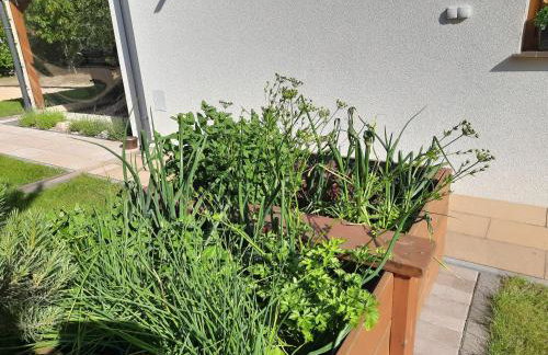 Dom Geografów - Foto 44