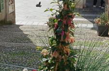 Appartamento Vacanze - Holiday Apartment "Ortamore" - Foto 29