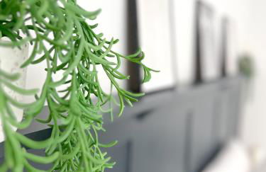 Campbells Crib - Foto 8