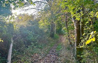 Linden Suite - Foto 25