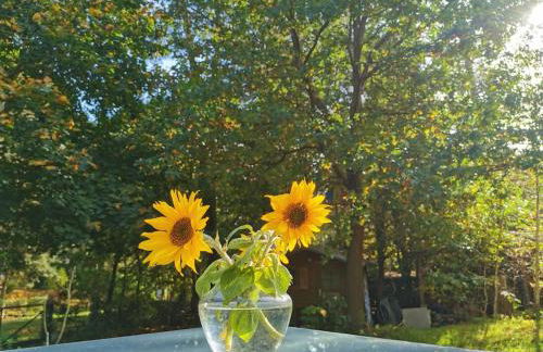 Ferienhaus Seensucht - Natur am See & im Wald mit Kamin - Foto 29