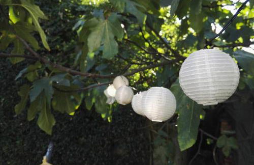 LAKE ORTA OPENSPACE garden beach - Photo 24