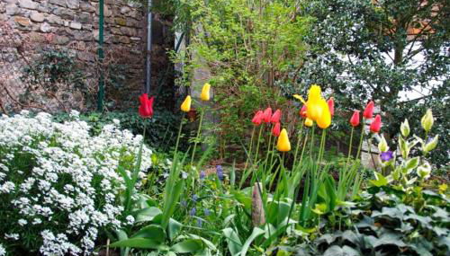 Garxo Apartamentos - Foto 4, Garden