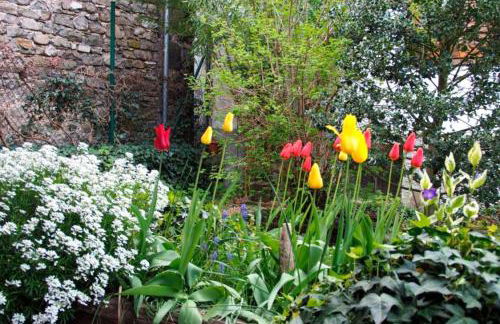 Garxo Apartamentos - Foto 4