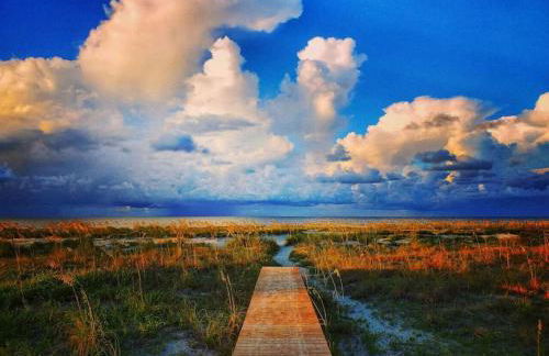 Tortuga Tillys - Foto 10