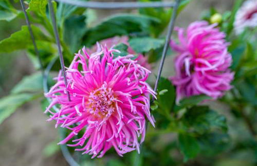 Hügelblick Oase - Foto 30