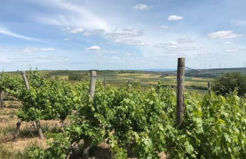 Ferienwohnung zwischen Wald und Reben - Foto 29