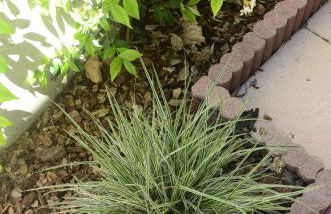 AnMa Cottages The Secret Garden - Foto 38