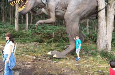 Alojamientos Casa Luisa - Foto 42