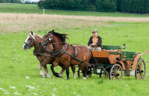 Bayerwald-Ferienhof Schmid - Foto 14