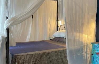 Verdmont 1926 - Foto 44