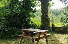 WITERICUS hospedaxe - Photo 16