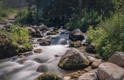 Apartament Nad Tatrzańską Pasieką - Foto 42