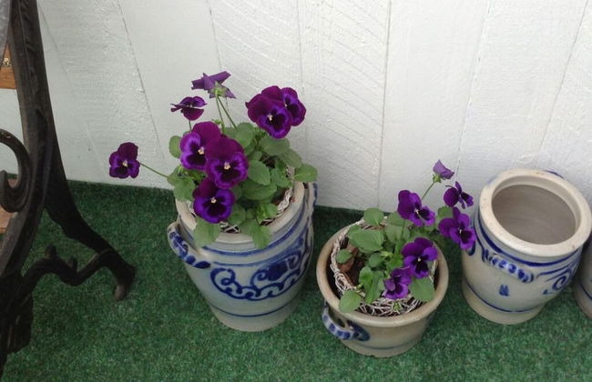 Glasner Comfortable Holiday Residence - Foto 19