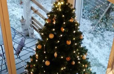 chalet des pierres opalines - Photo 43