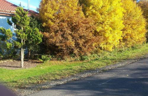 Holiday Home Gemütliches Ferienhaus in Fischbach Rhön by Interhome - Foto 17