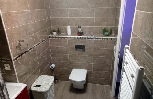 Bel appartement T2 près du lac avc un parking privé - Foto 10