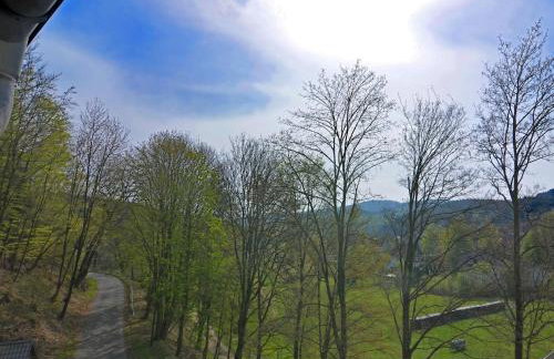 Lovely Group House near Winterberg with Private Sauna, Garden, & Terrace - Photo 76