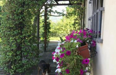 Il Pezzatino - Foto 26