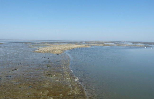 Chalet in Ternaard Near Heritage Site - Foto 38