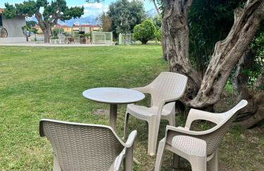 Ktimaoliva1 - Foto 55