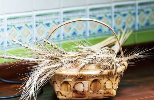 Apartamentos Rurales El Collaín de Campiellos - Foto 79