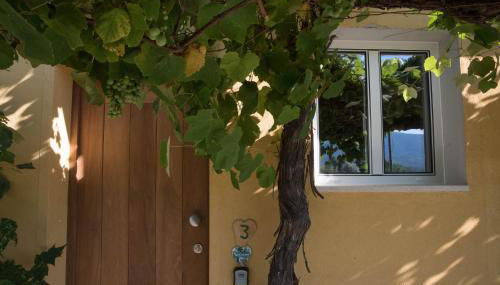 Quinta-lina de serpins - Foto 2