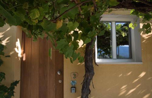 Quinta-lina de serpins - Foto 2