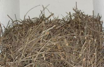 Quinta das Lindas 2 - Foto 40