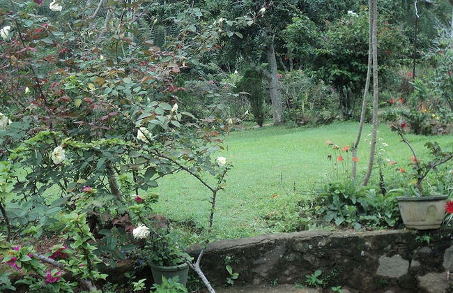 Halcyon Holiday Bungalow - Foto 6