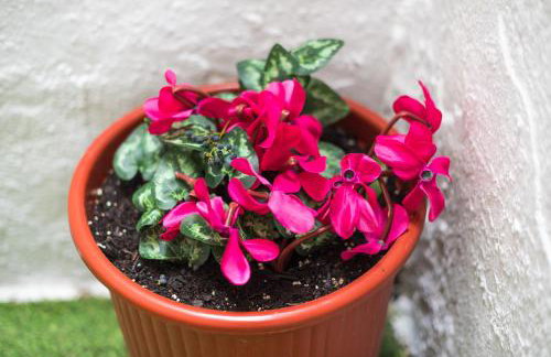 Golden Comfort With Courtyard By Greece Apartments - Foto 40