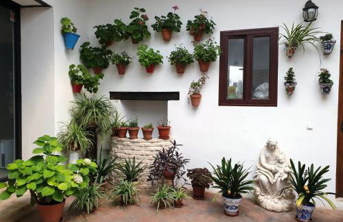 Entre patios y flores - Foto 31