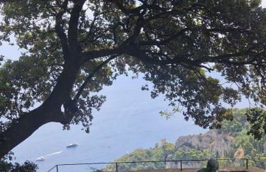 Il sogno di Wagner - Foto 49