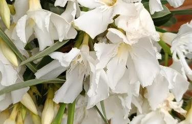 Seaside Apartment 2 - Photo 15