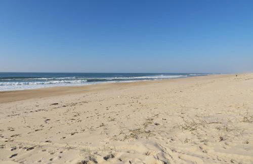 Casa da Murtinheira - Foto 48