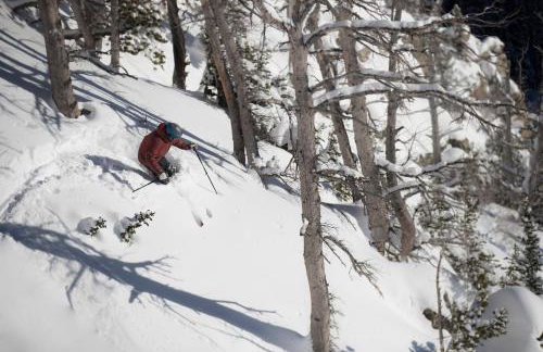 Alpine Breakwater - Foto 7