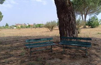 Quinta do Pinheirão - Foto 25