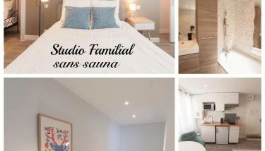 PRESTIGELOC - 3 Studios au Choix - 2 avec Sauna privé gratuit, 1 avec 3 Couchages, Centre-ville - Foto 2