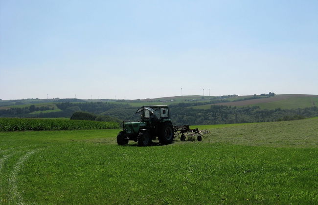 Large Group House, Beautifully Located in Eifel - Foto 39