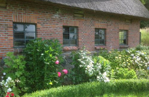 Hoheluft am Wittensee Apt 1 - Foto 19