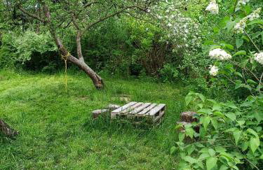 Kalinówka - apartament w domu nad Narwią - Foto 15