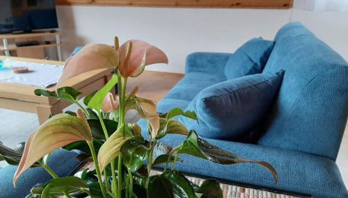 Ferienwohnung am Patenberg - Foto 2