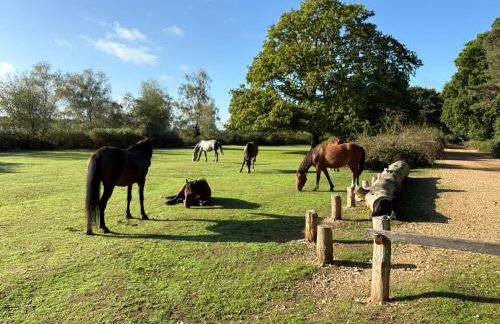 Swallows Retreat - Foto 20