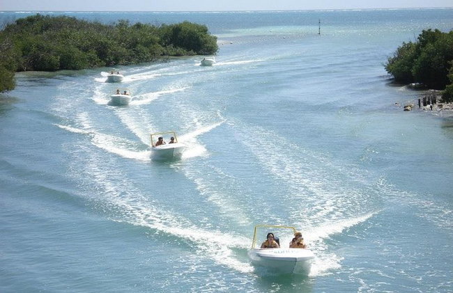 Jungle Tour - Mangroves & Snorkel For Couples - Photo 4
