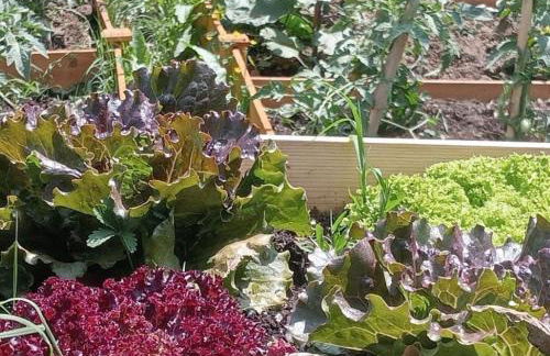 Villa San Lorenzo - Lux Gated Estate/Private Pool - Photo 45